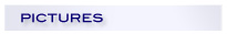 Pictures
